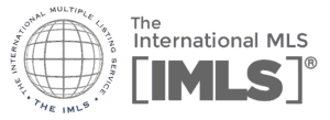 International MLS logo with globe icon