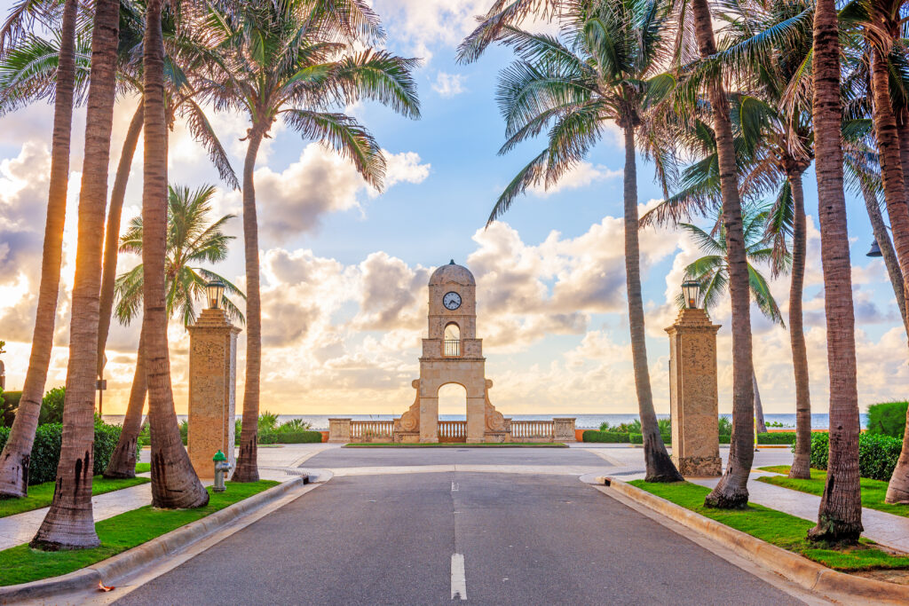Seaside clock tower framed by palm trees